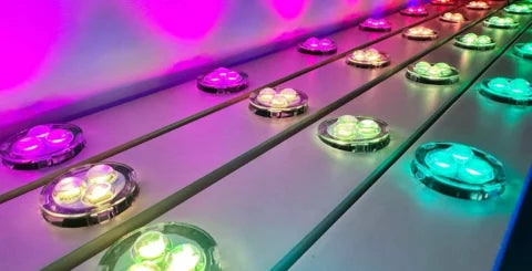 Lighting